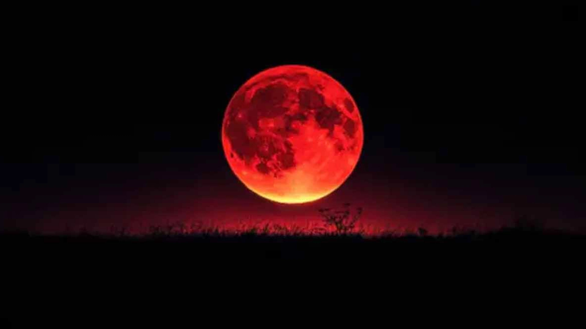 A large, vivid red moon rises against a stark black sky above a silhouetted horizon with faint grass and plants, creating a mysterious, dramatic ambiance.
